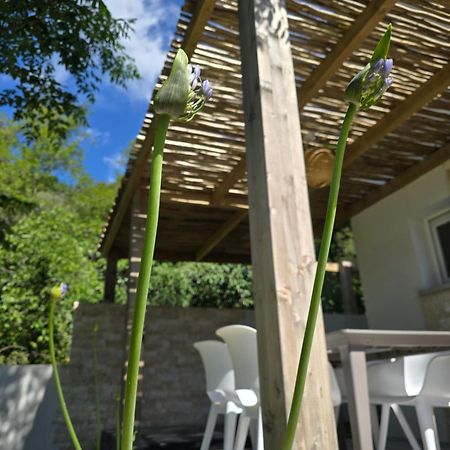 Petite Maison - Porto-Vecchio Esterno foto