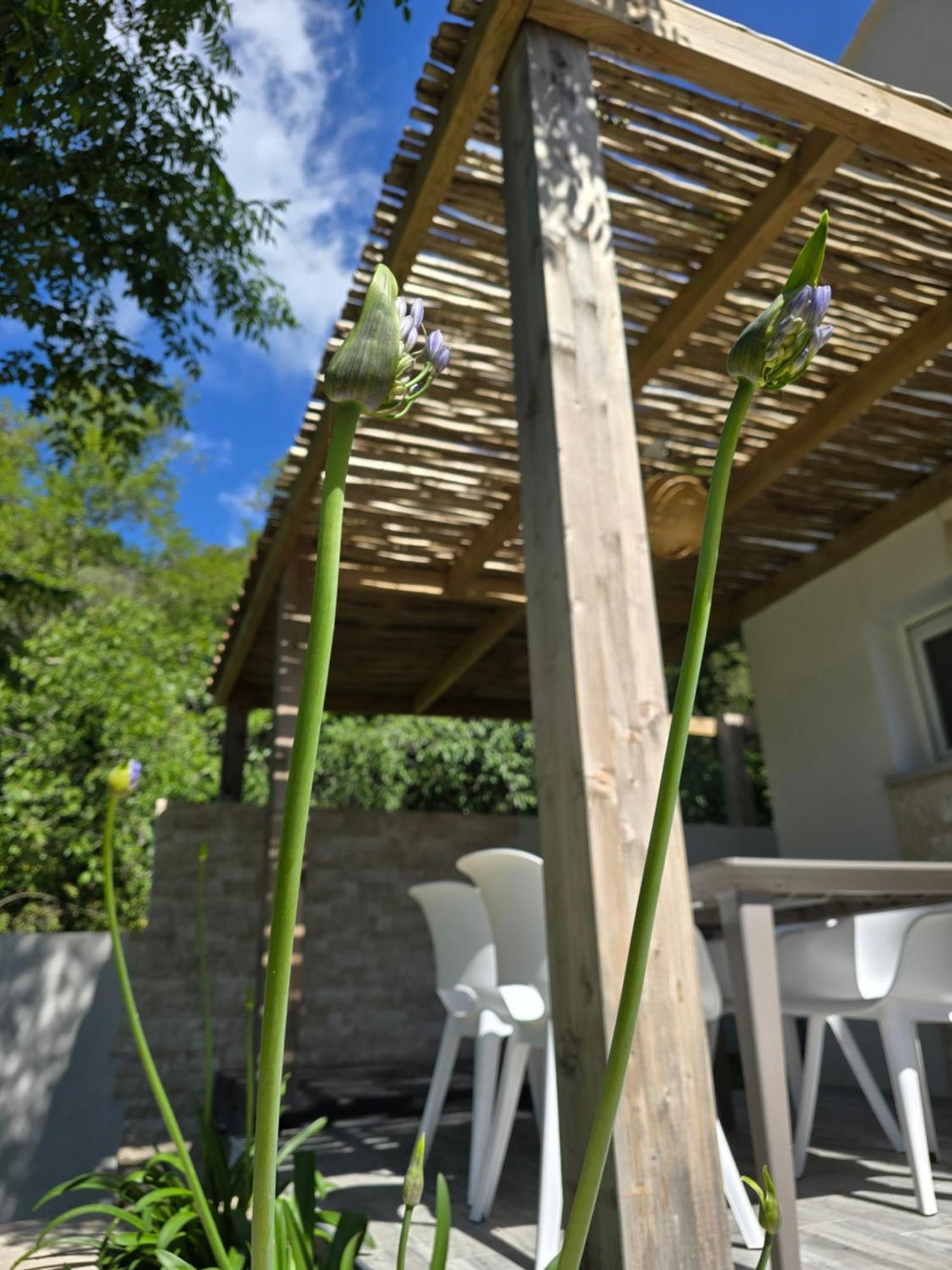 Petite Maison - Porto-Vecchio Esterno foto